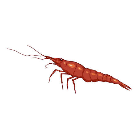 Vector Cartoon Shrimp Isolated Illustrationのイラスト素材