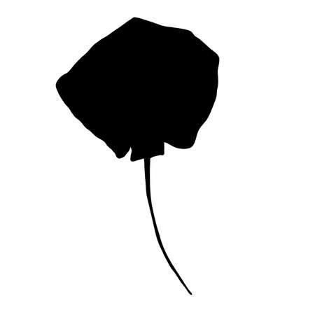 Black Silhouette Stingray. Numb-fish Vector Illustration