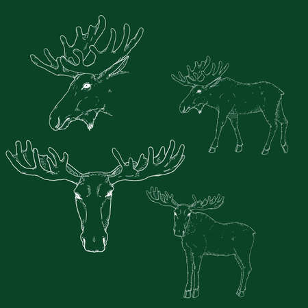 Set of Chalk Sketch Moose Illustrationsのイラスト素材