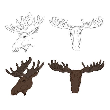 Moose Head Set. Sketch and Cartoon Illustrations.のイラスト素材