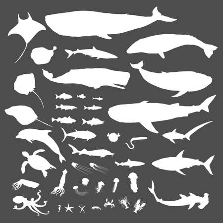 Vector Big Set of Sea Animals White Silhouette Illustrationsのイラスト素材