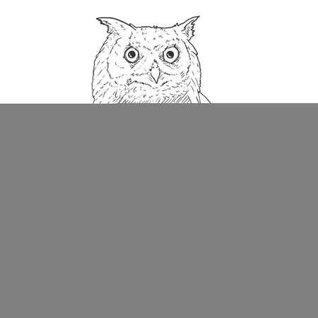 Owl Vector Hand Drawn Sketch Illustration on White Backgroundのイラスト素材