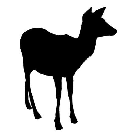 Vector Black Silhouette of Deer Standing Isolated White Backgroundのイラスト素材