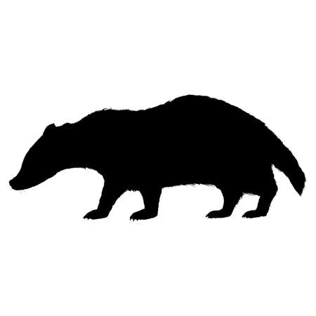 Badger Isolated Wild Animal Black Silhouette Illustrationのイラスト素材