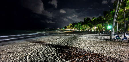Tropical Shore in the Night. Palms, Sand and Ocean.の写真素材