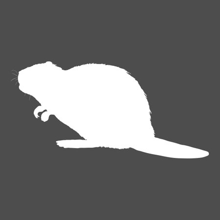 Beaver White Silhoeutte Vector Illustration on Black Backgroundのイラスト素材