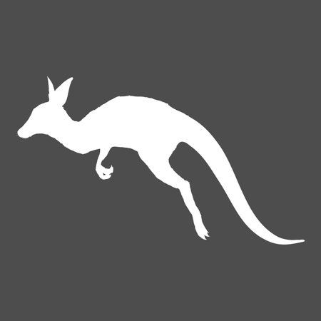 Vector White Silhouette Jumping Kangarooのイラスト素材