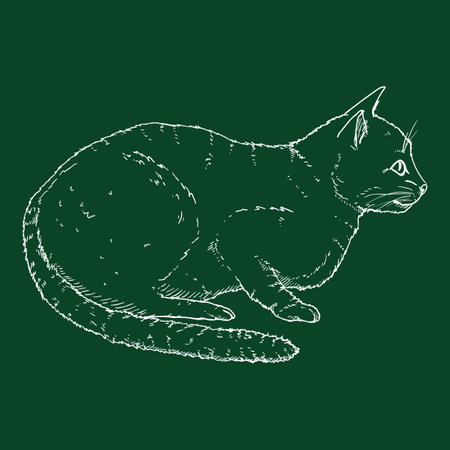 Calm Cat. Vector Chalk Sketch Feline Illustrationのイラスト素材
