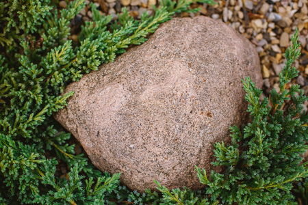 decorative cobblestone on the lawn juniperの写真素材