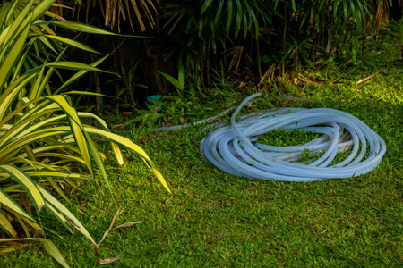 Garden hose coiled on green grass near tropical plants, outdoor maintenance scene. Concept: home garden care routine and irrigation and watering system