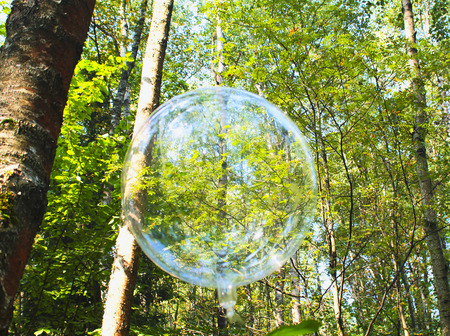 Balloon in the forest