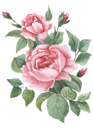 Watercolor pattern with bouquets on a white backgroundの写真素材
