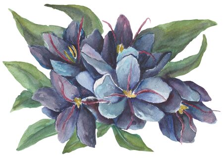 Watercolor pattern with bouquets on a white backgroundの写真素材