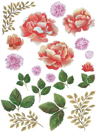 Modern watercolor flowers with a wide range of style and designの写真素材