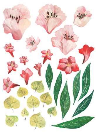 Watercolor painted collection. Excellent Watercolor Flowers Elements for invitation, wedding or greeting cards.の写真素材