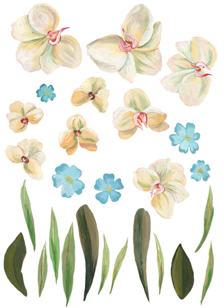 Watercolor painted collection. Excellent Watercolor Flowers Elements for invitation, wedding or greeting cardsの写真素材