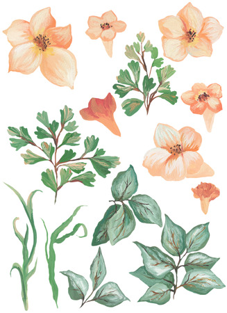 Watercolor painted collection. Excellent Design Watercolor Flowers and Leaves Elements for invitationの写真素材