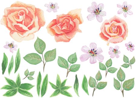 Watercolor painted collection. Excellent Design Watercolor Flowers and Leaves Elements for invitationの写真素材