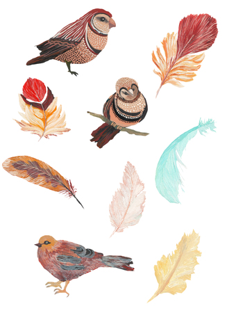 Watercolor painted collection of birds and feathers. Hand drawn design elements isolated on white background.の写真素材