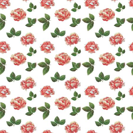 Watercolor pattern of flowers and leaves seamless design on white background.の写真素材