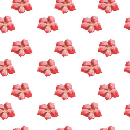 Watercolor pattern of flowers and leaves seamless design on white background.の写真素材
