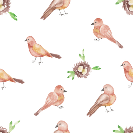 Watercolor pattern Birds and nests seamless design on white background.の写真素材