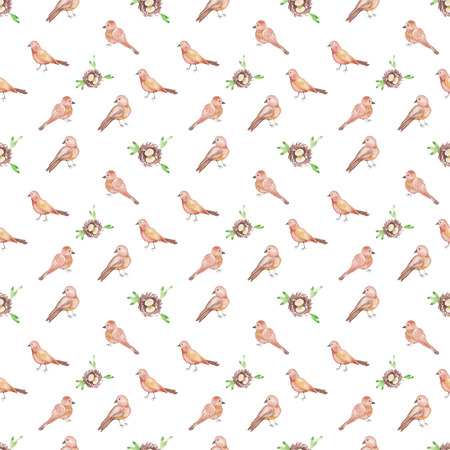 Watercolor pattern Birds and nests seamless design on white background.の写真素材