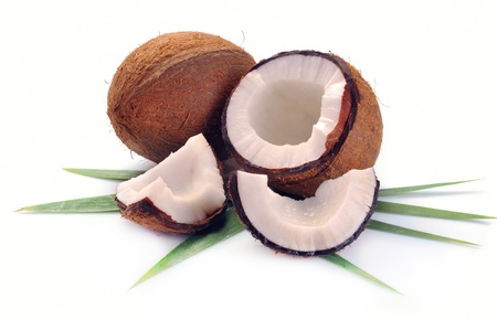 Coconut with leaves closeup on a white backgroundの写真素材