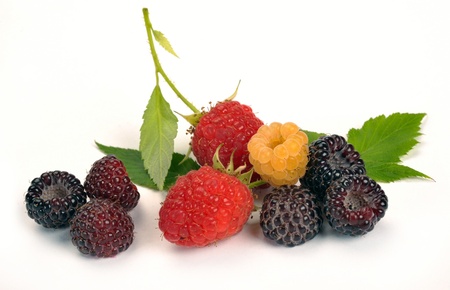 black yellow and red raspberries on a white background