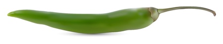 green hot chili pepper on a white background のイラスト素材