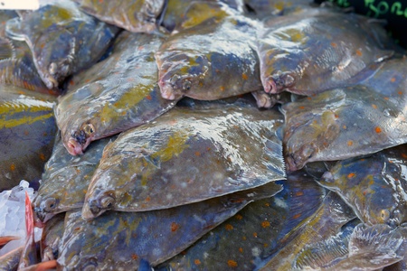 Flatfish on the stand of the fish market