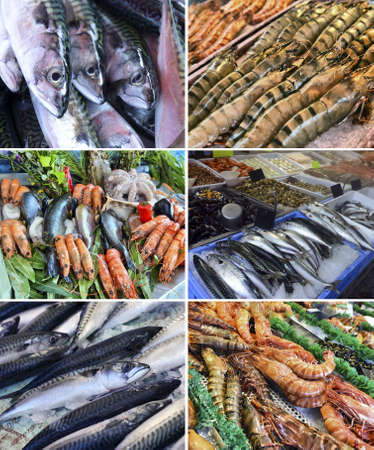 showcase of seafood in the sea marketの写真素材