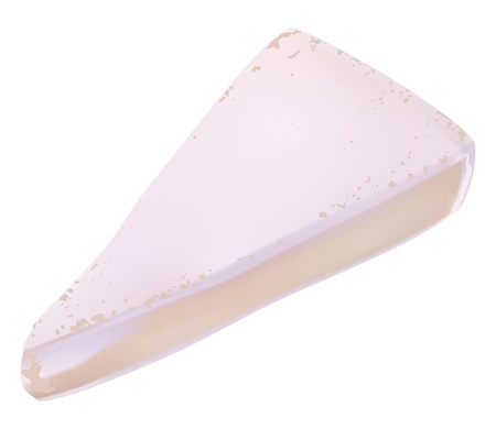 Brie cheese on a white background vectorのイラスト素材