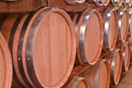 barrels of wine in the wine cellar