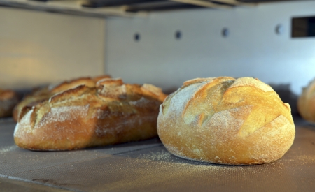 loaf of bread is baked in the oven