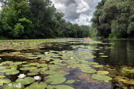 river Sula summer cloudy dayの写真素材