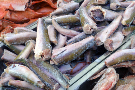 frozen hake in the fish shopの写真素材