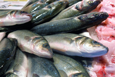 sea bass on display fish market
