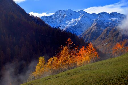 Autumn Alpine landscape with fog and yellow treesの写真素材