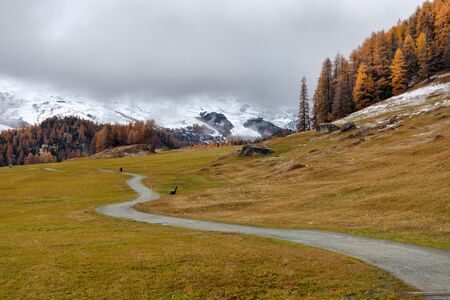 Autumn Alpine landscape with fog and yellow treesの写真素材