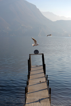 Lonely pier on the lake and sunraysの写真素材