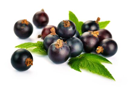 Black Currant Berries. Bunch of black currant fruits with leaf isolated on white backgroundの写真素材