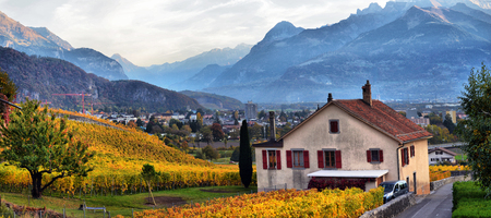 panorama of autumn vineyards in Switzerland View on Lavaux region by autumn day, Vaudの写真素材