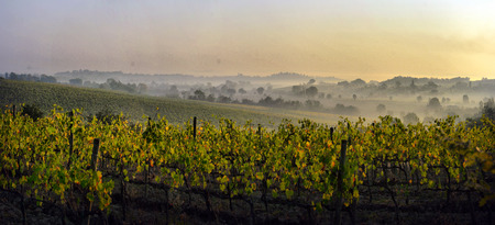 typical Tuscany countryside landscape; sunset over rolling hills and Tuscany farmlandの写真素材