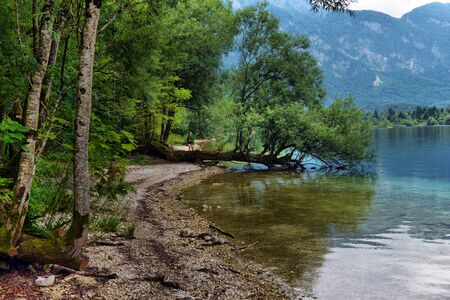 Panoramic view of Lake Bohinj, the largest permanent lake in Slovenia. It is located within the Bohinj Valley of the Julian Alps, in the northwestern Upper Carniola regionの写真素材