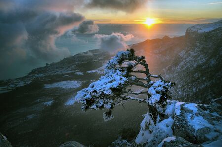 trees in hoarfrost and snow in the Ai-Petri mountains. Crimeaの写真素材