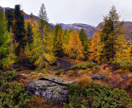 Majestic autumn alpine scenery with colorful larch forest, Switzerlandの写真素材