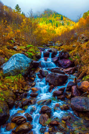 Stunning autumn alpine landscape with colorful redwood forest and beautiful yellow larches.の写真素材
