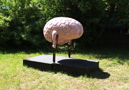 Installation. Brain on crutches. Gorky Park. Krasnoyarskのeditorial素材