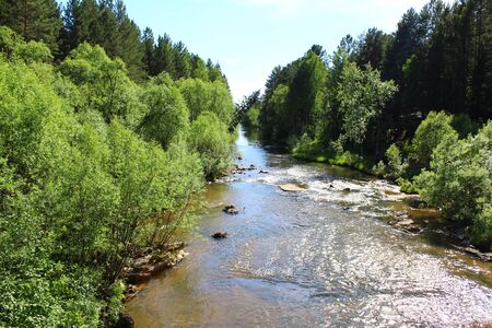 River in the forest Bogunay